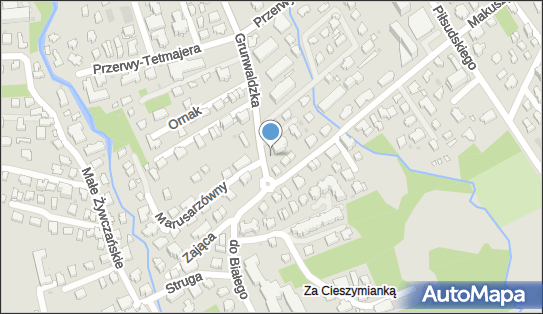 Manru, Grunwaldzka 25, Zakopane 34-500 - Ośrodek wypoczynkowy, numer telefonu
