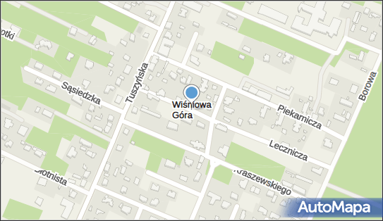 Ośrodek letniskowy, Lecznicza 8, Wiśniowa Góra 95-020 - Ośrodek wypoczynkowy