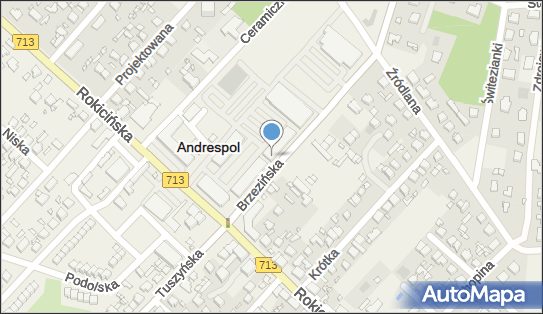 Paczkomat InPost ANR01A, Rokicińska 125, Andrespol 95-020