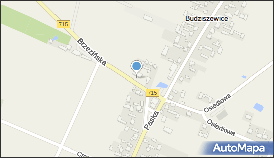 Paczkomat InPost BDZ01M, Brzezińska 3, Budziszewice 97-212