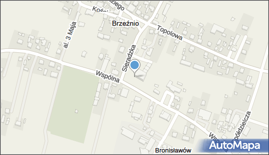 Paczkomat InPost BEZ01A, Wspólna 50, Brzeźnio 98-275