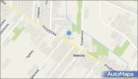 Paczkomat InPost BIH01M, Przytycka 214, Bielicha 26-601