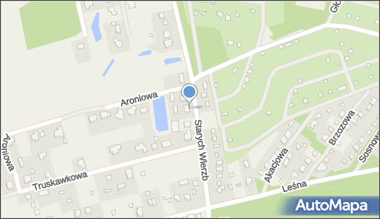 Paczkomat InPost BORM01APP, Starych Wierzb 19, Borowo-Młyn 62-007