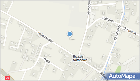 Paczkomat InPost BRZZ01BAPP, Narodowa 5, Brzezie 32-080