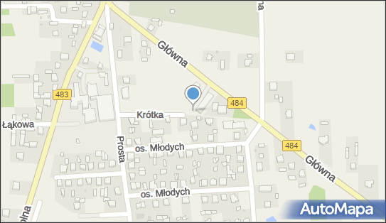 Paczkomat InPost BUE01M, Główna 19, Buczek 98-113