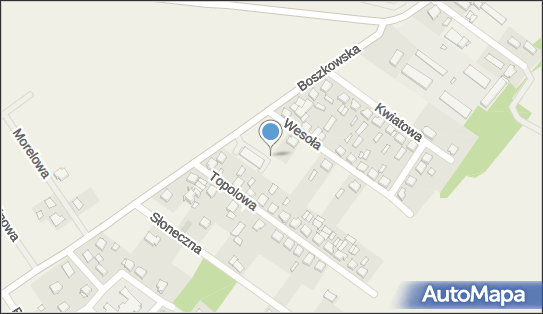 Paczkomat InPost BXC02M, Bucz Boszkowska 15, Bucz 64-234