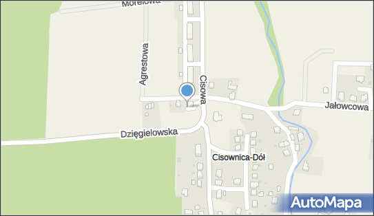 Paczkomat InPost CSW01M, Cisowa 50, Cisownica 43-440
