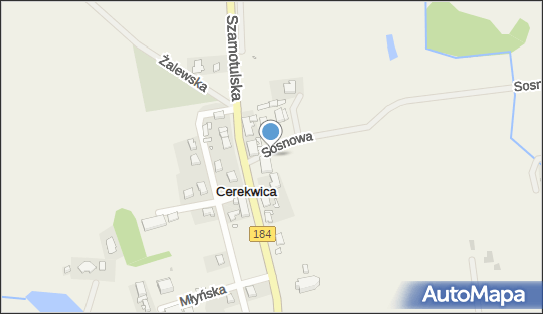 Paczkomat InPost CWC01M, Szamotulska 28, Cerekwica 62-090