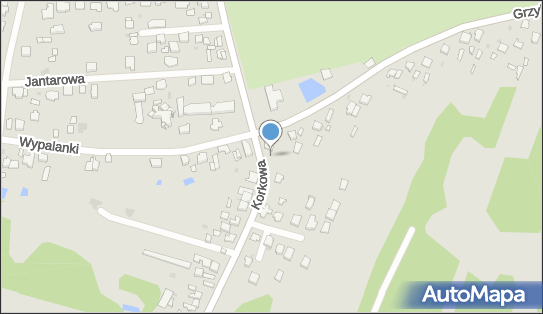 Paczkomat InPost CZE29M, Korkowa 1, Częstochowa 42-202