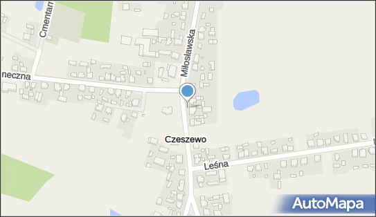 Paczkomat InPost CZSZ01M, Szkolna 3, Czeszewo 62-322