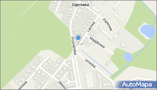 Paczkomat InPost DAB01L, Lipowa 20, Dąbrówka 62-069