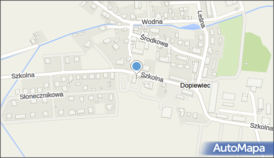 Paczkomat InPost DPC01M, Szkolna 13, Dopiewiec 62-070