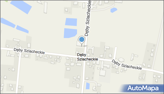Paczkomat InPost DSS01M, Dęby Szlacheckie 48, Dęby Szlacheckie 62-613