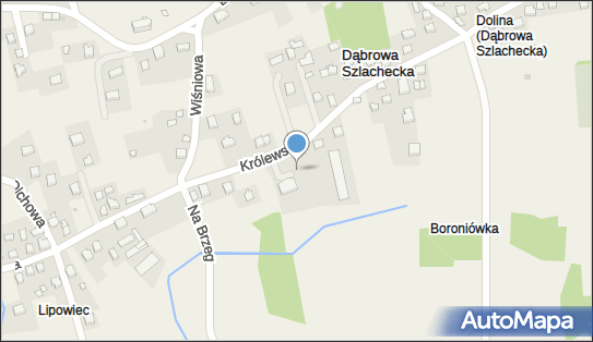 Paczkomat InPost DSZ01M, Królewska 30, Dąbrowa Szlachecka 32-070