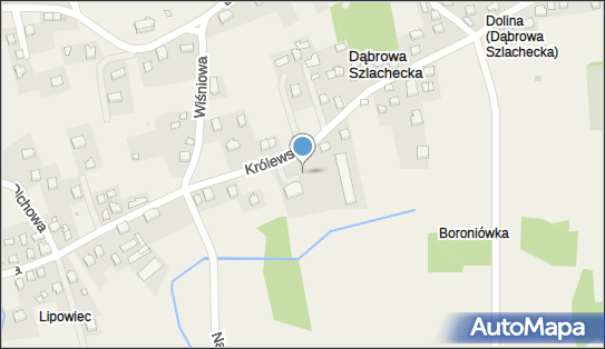 Paczkomat InPost DSZ01M, Królewska 30, Dąbrowa Szlachecka 32-070