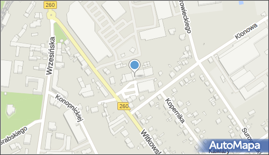 Paczkomat InPost GNI02HP, Witkowska 11, Gniezno 62-200