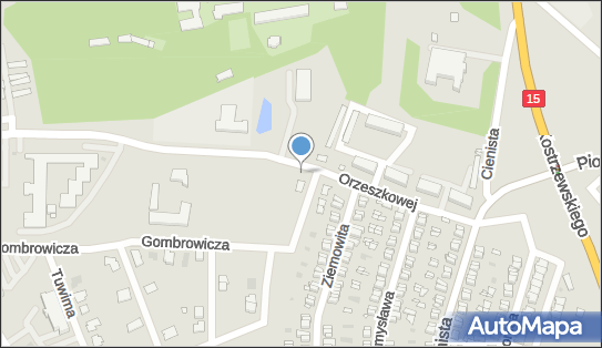 Paczkomat InPost GNI09M, Orzeszkowej 13, Gniezno 62-200