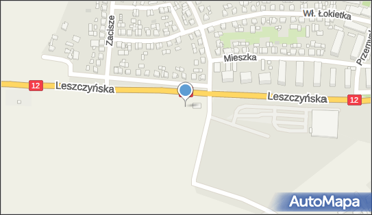 Paczkomat InPost GOS05N, Leszczyńska 9, Gostyń 63-800