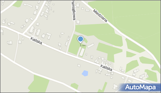 Paczkomat InPost GUB10M, Kaliska 149, Gubin 66-620