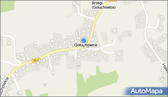 Paczkomat InPost GUH01M, Gołuchowice 90, Gołuchowice 32-052