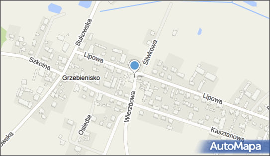Paczkomat InPost GZB01N, Lipowa 14, Grzebienisko 64-553