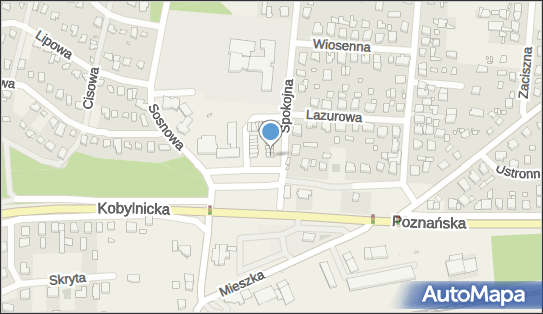 Paczkomat InPost JEK01A, pl. Piastowski 25, Jerzykowo 62-007