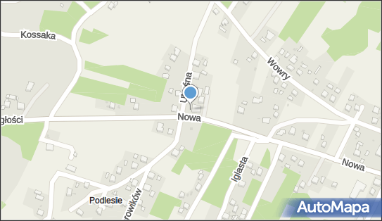 Paczkomat InPost JIC01M, Nowa 132, Jankowice 44-264