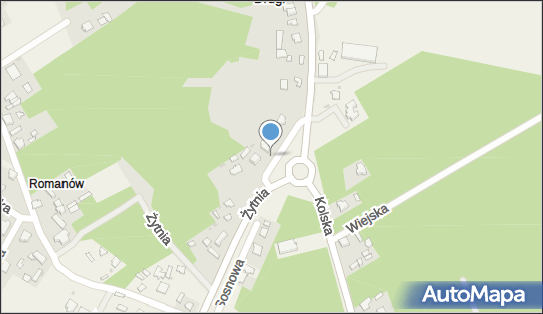 Paczkomat InPost KOO01BAPP, Żytnia 6, Koło 62-600