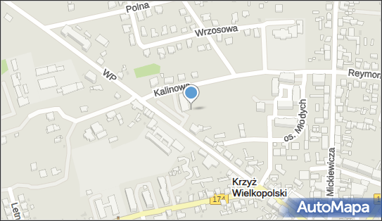 Paczkomat InPost KWP02M, Kalinowa 9, Krzyż Wielkopolski 64-761