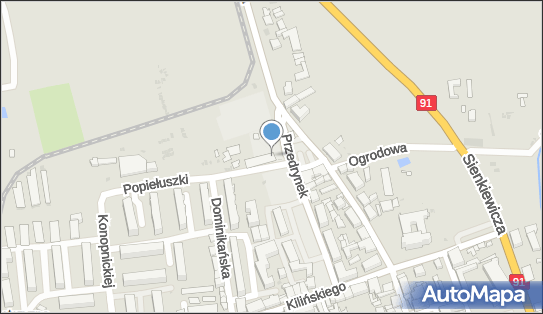 Paczkomat InPost LEC01A, Pl.Przedrynek 15, Łęczyca 99-100