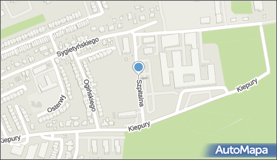 Paczkomat InPost LES01BAPP, Szpitalna 11, Leszno 64-100