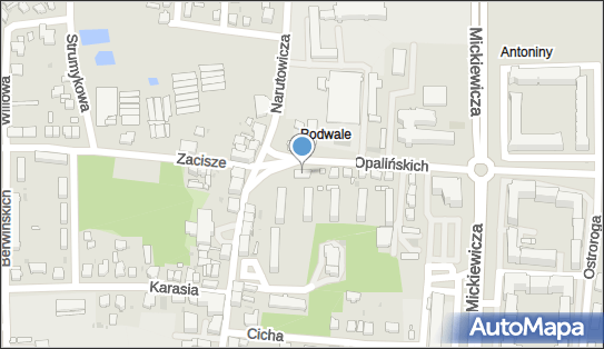 Paczkomat InPost LES08BAPP, Opalińskich 2, Leszno 64-100