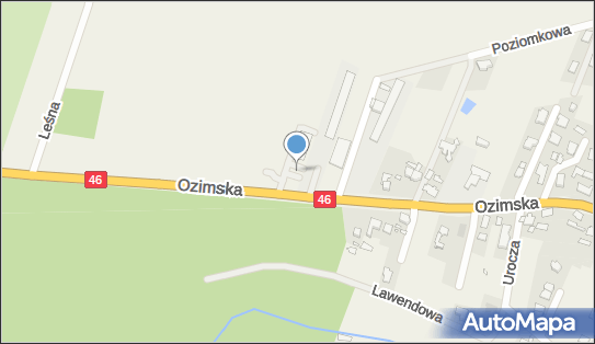 Paczkomat InPost LEY01M, Ozimska 1G, Lędziny 46-053