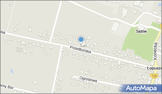 Paczkomat InPost LOO01A, Przedborska 34B, Łopuszno 26-070