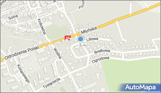 Paczkomat InPost LSN02M, Wrzosowa 4/8, Łasin 86-320