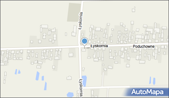 Paczkomat InPost LSQA01BAPP, Łyskornia 106, Łyskornia 98-350