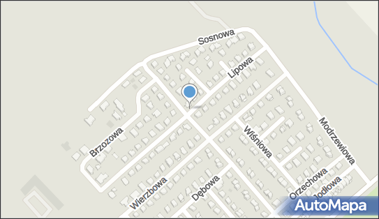 Paczkomat InPost MDZ07M, Kasztanowa 34, Międzyrzec Podlaski 21-560