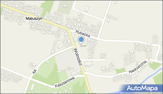 Paczkomat InPost MLSZ01BAPP, Wolności 6, Maluszyn 97-532