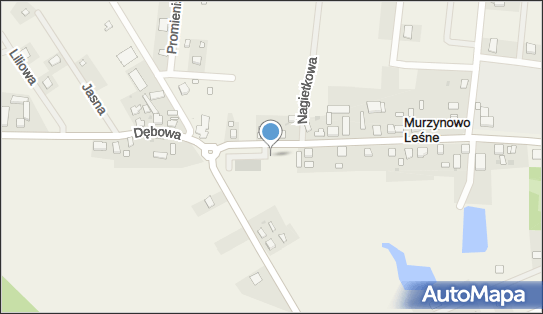 Paczkomat InPost MUL01G, Poznańska 69, Murzynowo Leśne 63-023