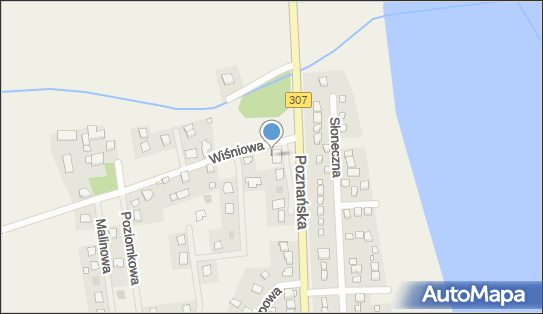 Paczkomat InPost NPW01BAPP, Poznańska 103, Niepruszewo 64-320