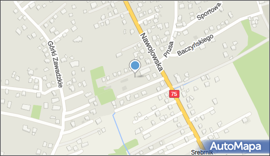 Paczkomat InPost NSA19M, Nawojowska 364, Nowy Sącz 33-300