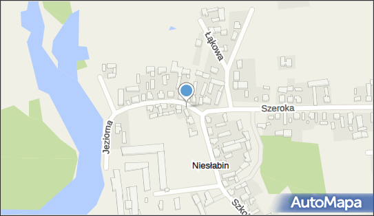 Paczkomat InPost NSB01BAPP, Jeziorna 5, Niesłabin 63-100