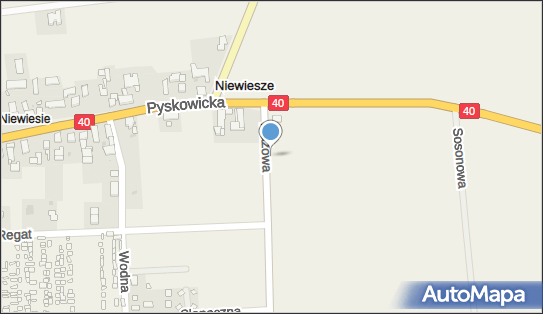 Paczkomat InPost NWSZ01BAPP, Plażowa 19, Niewiesze 44-172