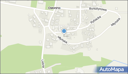 Paczkomat InPost OLI01M, Kasztanowa 2, Osłonino 84-122