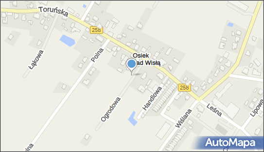 Paczkomat InPost ONW01BAPP, Toruńska 9, Osiek nad Wisłą 87-125