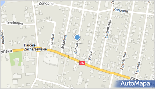 Paczkomat InPost OWI01BAPP, Bzowa 2, Ostrów Wielkopolski 63-400