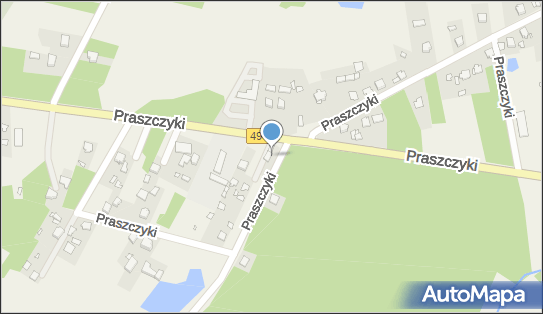 Paczkomat InPost PASZ01BAPP, Praszczyki 51, Praszczyki 42-140