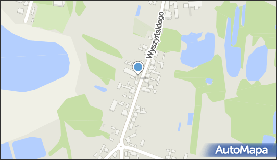 Paczkomat InPost PDC01BAPP, Wyszyńskiego 22, Przedecz 62-635