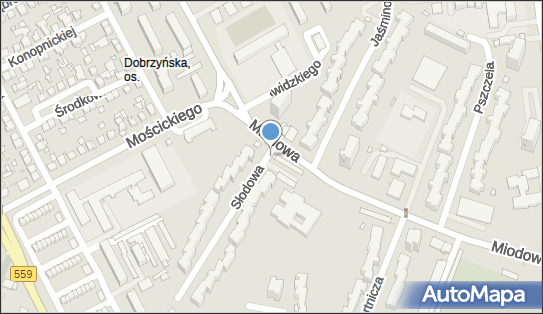 Paczkomat InPost PLC03APP, Miodowa 15, Płock 09-400