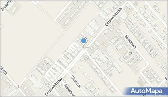 Paczkomat InPost PLW01M, Grunwaldzka 513, Plewiska 62-064